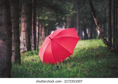 Green Forest And Red Umbrella Under The Rain