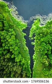 Green Forest, River And Lake In Spring, Aerial View