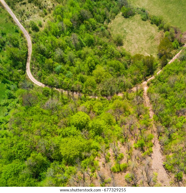 Green forest and road, top\
view