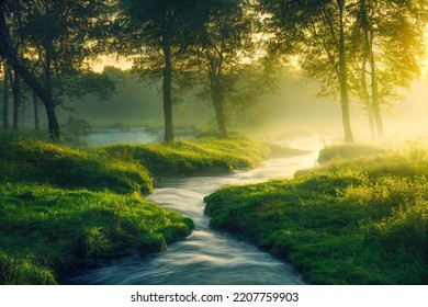 Green forest and forest stream at sunset. 3d rendering - Powered by Shutterstock