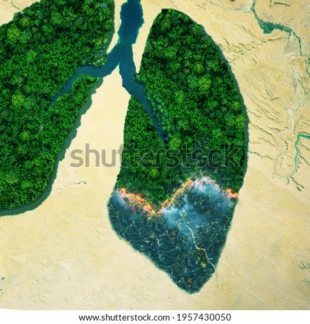 Green forest trees is burning, top view. Forest fire, aerial view. Green lungs of planet Earth. Concept of nature and rainforest protection, nature breathing and natural co2 reduction.