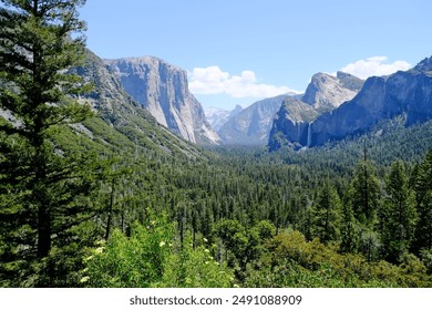 green forest trees in Yosemite valley,  Yosemite National Park tunnel view. In California, America - Powered by Shutterstock