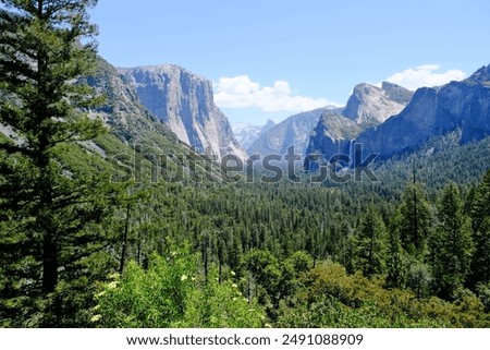 green forest trees in Yosemite valley,  Yosemite National Park tunnel view. In California, America