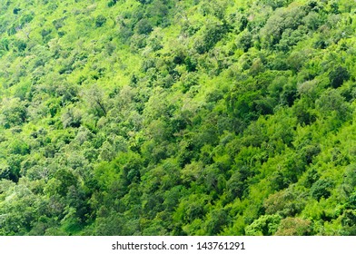 Green forrest from above in Thailand