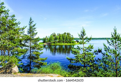 Green Forrest Lake Home In Summer