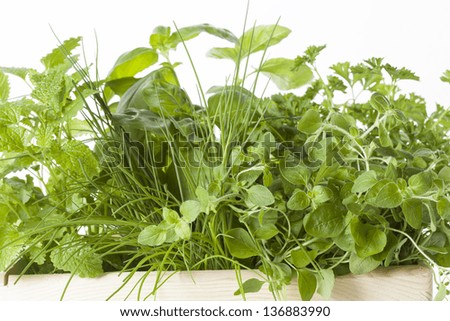 Similar – Image, Stock Photo herb box Food