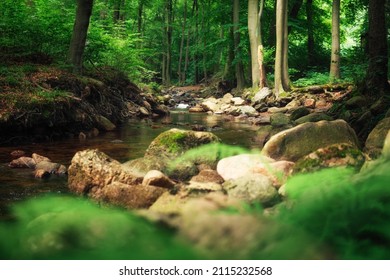 The green, fresh Ilsetal in summer with its wildly raging river and boulders