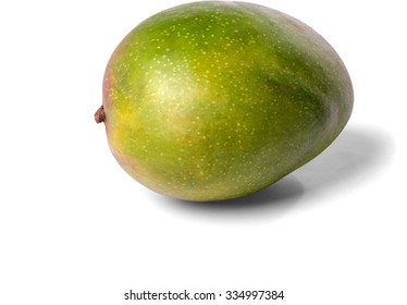 Green Fresh Mango - Isolated