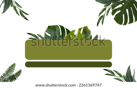Green fresh monstera leaves for powerpoint background or exclusive zoom meeting
