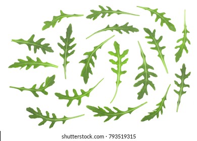 Green fresh rucola or arugula leaf isolated on white background. Top view. Flat lay pattern - Powered by Shutterstock