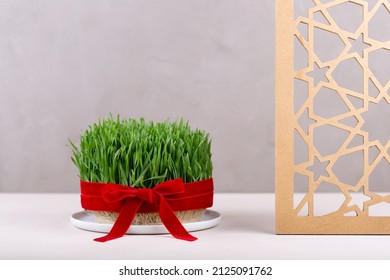 Green fresh semeni sabzi wheat grass in white plate decorated with red ribbon with wooden shebeke pattern, Novruz spring equinox celebration in Azerbaijan