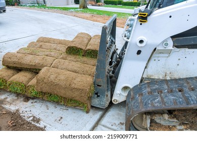 Green fresh sod grass in rolls for lawn and designer landscape a roll on pallets.