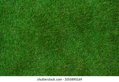 green fresh summer grass, background, texture 