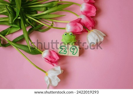 Green frog toy on a pink background with tulip flowers and a number on wooden cubes February 29th.