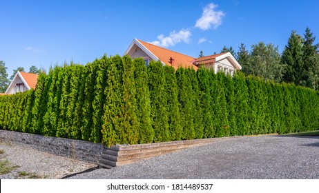 26,882 Evergreen hedges Images, Stock Photos & Vectors | Shutterstock