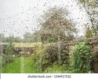 Green garden seen through rain splattered window