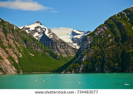 Green Glacial waters of the inside passage, Alaska, USA