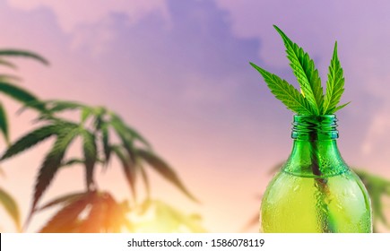 Green glass bottle with Cannabis CBD infused Water lemonade against Cannabis plant field
