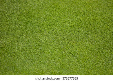 Green Golf Green - Close Up