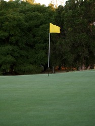 Green Golf Course Series - Putting Green With Single Yellow Flag