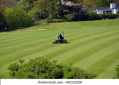 Green Golf Grass Field And Maintenance Vehicle