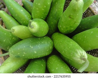 Green Gourd Background On Market