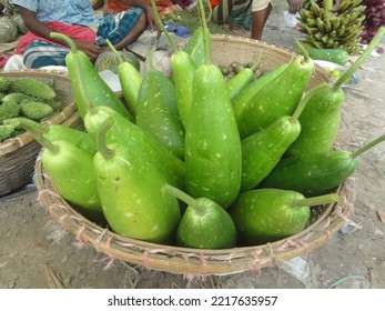 Green Gourd Background On Market