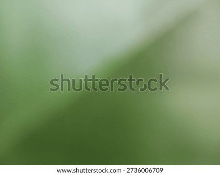 green gradient abstrack texture ornamental wall art in blur style