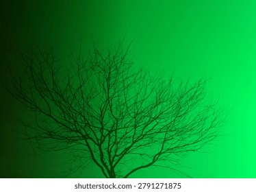 the green gradient and a leafless tree