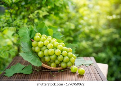 Green grape in Bamboo basket on wooden table in garden, Shine Muscat Grape with leaves in blur background - Shutterstock ID 1770959072