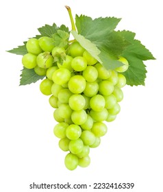 Green Grape with leaves isolated on white, Sweet Green Grape isolated on white background With work path.