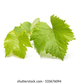 Green Grape Leaves Isolated On White Background