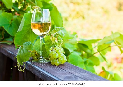 Green Grape And White Wine In Vineyard