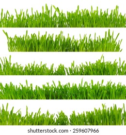 green grass - Shutterstock ID 259607966