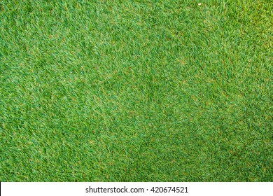 Green grass - Shutterstock ID 420674521