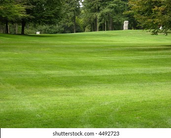 green grass