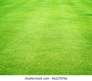 green grass