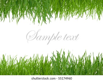 Green grass
