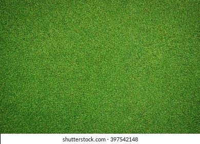 Green Grass Abstract Background And Texture With Alpha Shadow Border