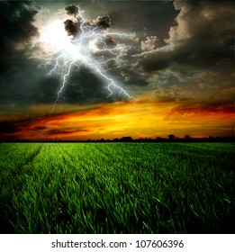 Green Grass Against A Stormy Sky