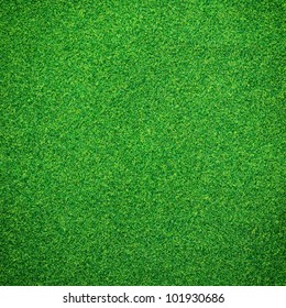 Green Grass Background