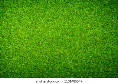 Artificial Grass Stock Photo (Edit Now) 174660389