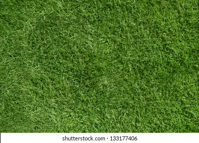 Green Grass Background