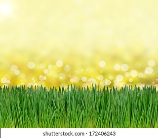 Green grass background