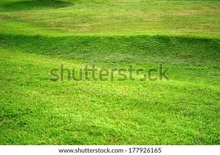 Similar – Image, Stock Photo herald of spring Scooter