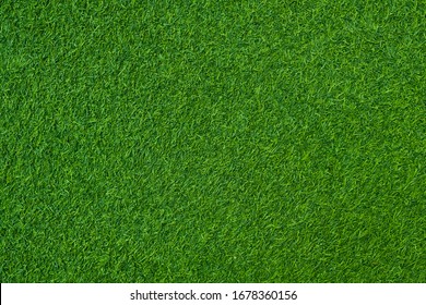 Green Grass Background, Football Field
