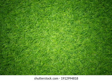 Green Grass Background, Football Field