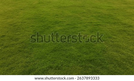 Green grass background high angle view shooting from drone fly came. Plain Grassy textured lawn background 