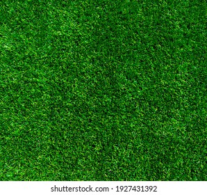 Green Grass Background Or The Nature Lawn Wall Texture 