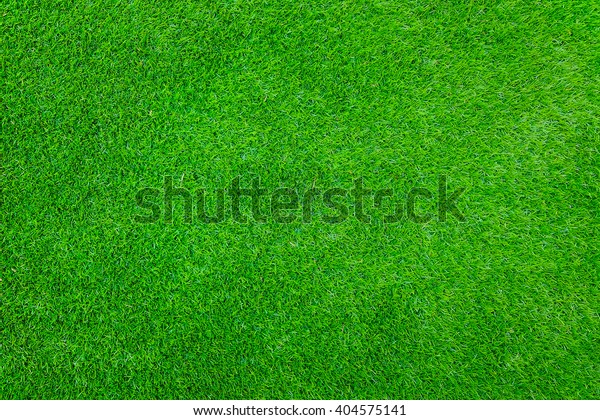19,221,056 풀 이미지, 스톡 사진 및 벡터 | Shutterstock